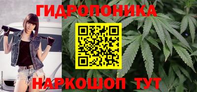 spice Заводоуковск