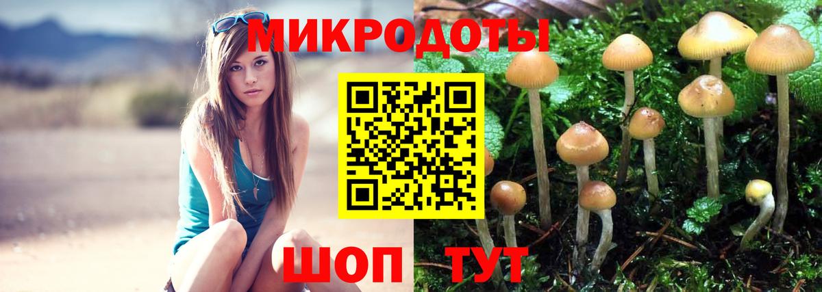 Галлюциногенные грибы прущие грибы  Сургут 